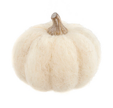 Load image into Gallery viewer, Felt Pumpkins - White