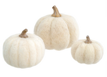 Load image into Gallery viewer, Felt Pumpkins - White