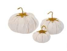 Load image into Gallery viewer, Canvas Pumpkins