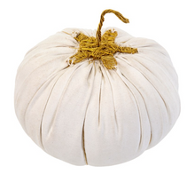 Load image into Gallery viewer, Canvas Pumpkins