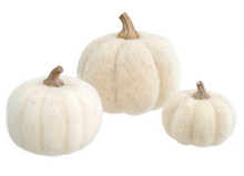 Load image into Gallery viewer, Felt Pumpkins - White
